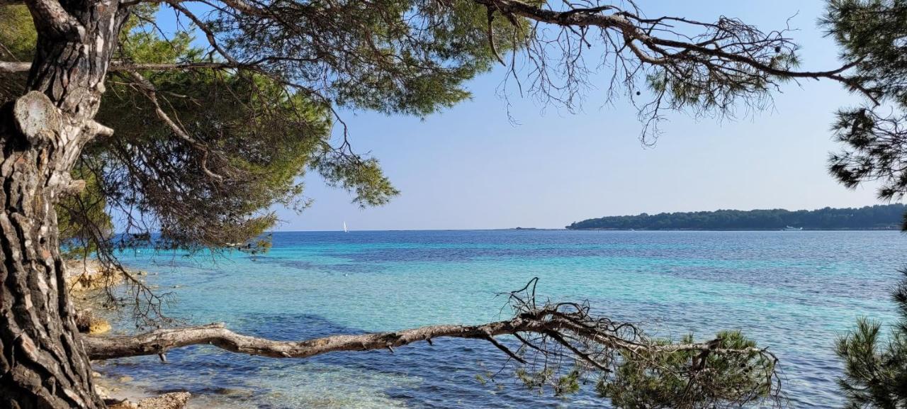 Апартаменти Les Grenadines Du Samedi Au Samedi Антіб Екстер'єр фото